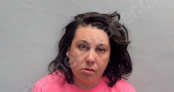 STEWART, ELIZABETH ANN | 2023-04-14 16:13:00 Talladega County, Alabama Booking