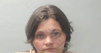 BRIDGES, TARA DAWN | 2023-04-15 02:35:00 Talladega County, Alabama Booking