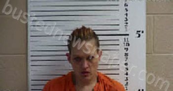 LEMON, LINDSEY ANN | 2023-04-17 17:42:00 Cherokee County, North Carolina Booking