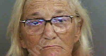 LORENZ,CHRISTINE RAE | 2023-04-17 Collier County, Florida Booking