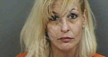 DIAZ,SANDRA ISABEL | 2023-04-17 Collier County, Florida Booking