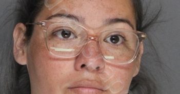 BARBERENA, BIANCA | 2023-04-18 11:19:00 Ellis County, Texas Booking