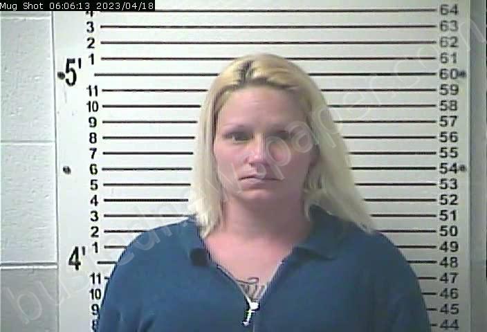 DIAMOND, AUDRINA JANE #, Hardin County, Kentucky - 2023-04-18 06:53:00