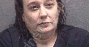 HAY, ERICA NICOLE | 2023-04-19 Muskegon County, Michigan Booking