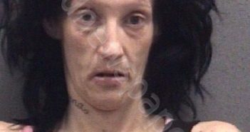 GEE, NICOLE LEE | 2023-04-20 Muskegon County, Michigan Booking