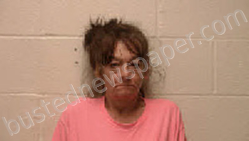 LYNN, BRIDGET CHARMAIN #, Robertson County, Tennessee - 2023-04-21 01:27:00
