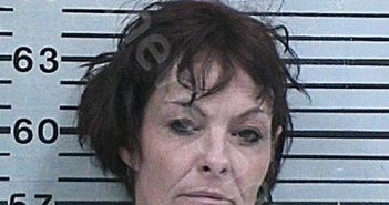 BURRIS, MICHELLE RENEE | 2023-04-21 02:58:58 Hood County, Texas Booking