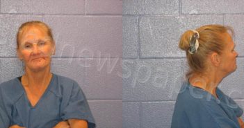 LEWIS, JULIE GENTRY | 2023-04-22 Andrews County, Texas Booking