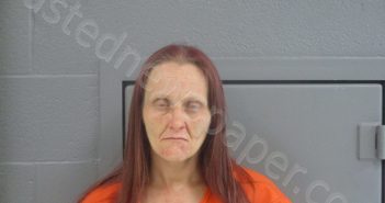 SNELSON, JESSICA DAWN | 2023-04-25 21:00:00 Pocahontas County, West Virginia Booking