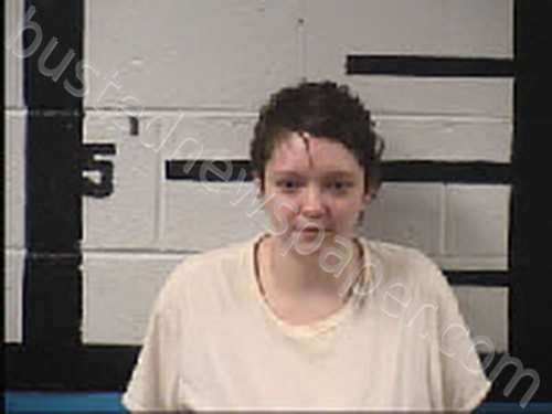 AMMONS, HALEY SUMMERS #, Transylvania County, North Carolina - 2023-04-26 15:15:00