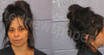 GUZMAN, MICHELLE LYDIA | 2023-04-26 Andrews County, Texas Booking