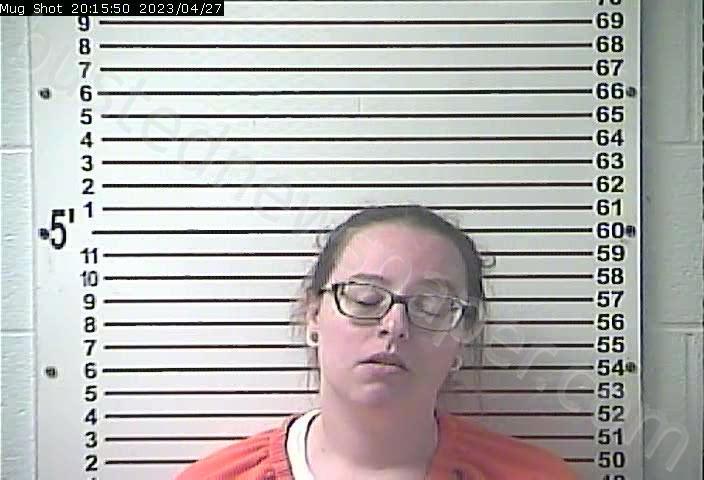 DEVER, BRITTANY LENA #, Hardin County, Kentucky - 2023-04-27 20:31:00