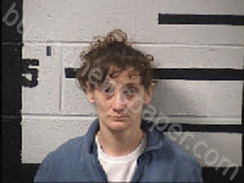 PUTMAN, LINDSEY ANN #, Transylvania County, North Carolina - 2023-04-27 10:40:00