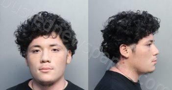 NAJARRO, ERICK | 2023-04-28 04:25:00 Miami-Dade County, Florida Booking