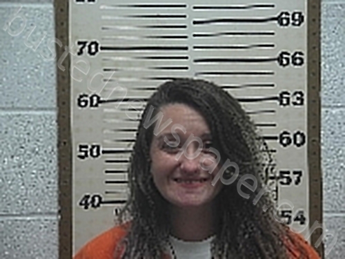 HAYES, PAIGE LEAH #, Belmont County, Ohio - 2023-04-29