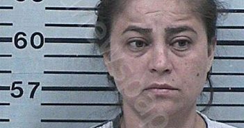SANTOS-VARELA, MARLY CARLI | 2023-04-29 23:38:22 Hood County, Texas Booking