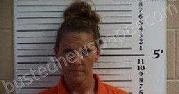 STILES, JILLIAN ASHLEY SLONE | 2023-04-29 15:17:00 Cherokee County, North Carolina Booking