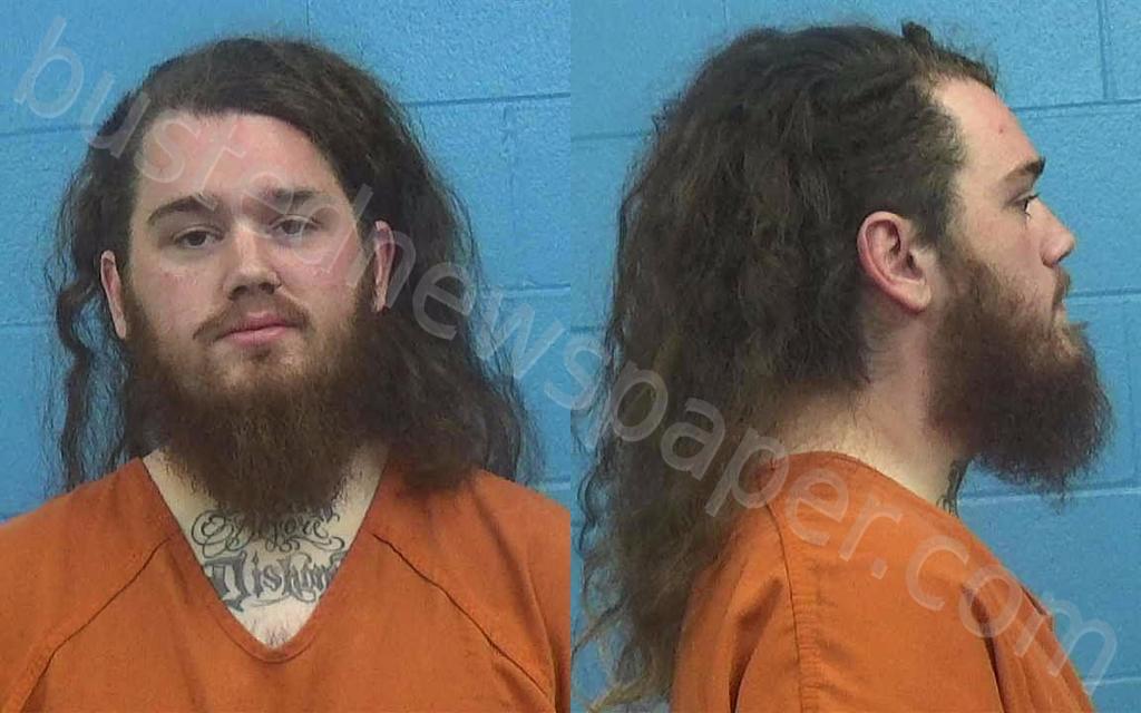 ANDERSON, DYLAN BLAKE #, Williamson County, Texas - 2023-05-02