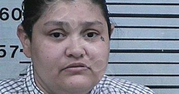 GONZALEZ, EVAGELINE C | 2023-05-02 18:42:51 Hood County, Texas Booking