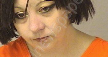 WHITE, TONYA GAIL | 2023-05-04 02:45:00 Wood County, West Virginia Booking