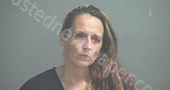 THOMPSON, TARA J | 2023-05-04 Sandusky County, Ohio Booking