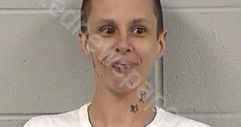 <B>NELSON</B>, <B>CHELSEA</B> <B>ROSE</B> #, Dickinson County, Kansas - 2023-05-06 11:37:00
