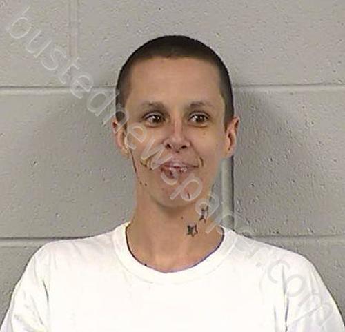 NELSON, CHELSEA ROSE #, Dickinson County, Kansas - 2023-05-06 11:37:00