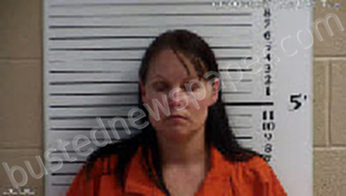 SEABOLT, MELISSA KAY #, Cherokee County, North Carolina - 2023-05-09 18:41:00