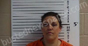 SHOOK, BROOKLYN CIARA | 2023-05-09 14:54:00 Cherokee County, North Carolina Booking