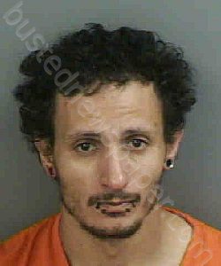 VEGA,ANTONIO JR | 2023-05-10 Collier County, Florida Booking