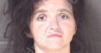 <B>JOHNSON</B>, <B>MARTHA</B> NICOLE #, Buncombe County, North Carolina - 2023-05-11