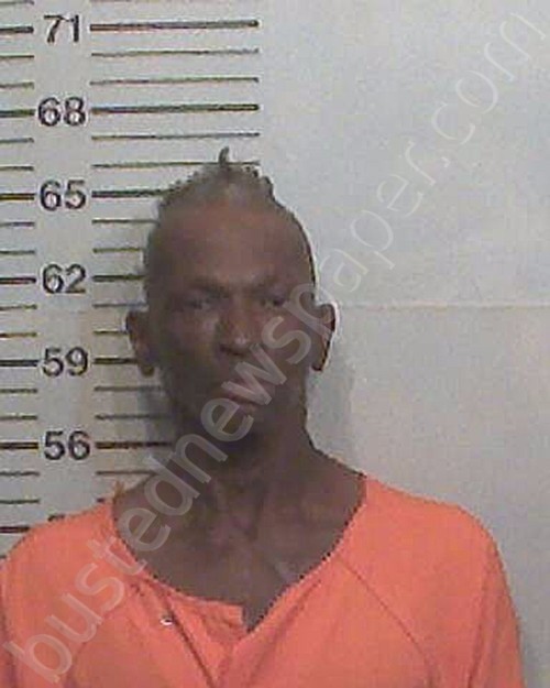 LEE, TYRONE ANDREW #, Hamilton County, Florida - 2023-05-12 15:38:00