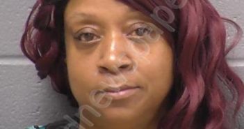 MCINTOSH, RENEE C | 2023-05-14 23:18:00 Will County, Illinois Booking