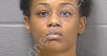 WARD, NATALIE J | 2023-05-14 06:17:00 Will County, Illinois Booking