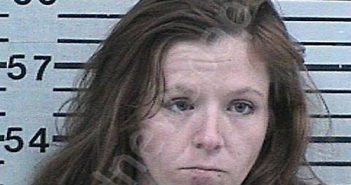 FOWLER, ASHLEY MARIE | 2023-05-15 19:40:10 Hood County, Texas Booking