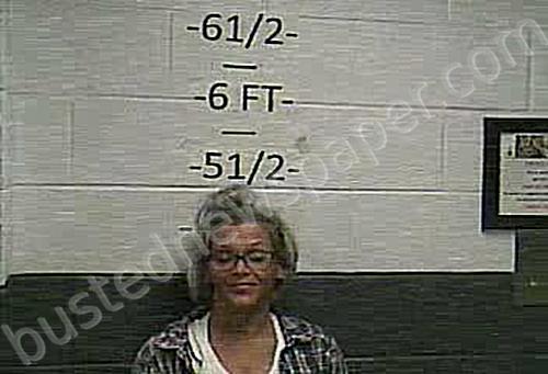 SAYLOR, ALESHIA NICOLE #, Whitley County, Kentucky - 2023-05-16 12:48:00