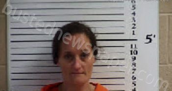 JENKINS, ERICA RAE | 2023-05-16 13:30:00 Cherokee County, North Carolina Booking