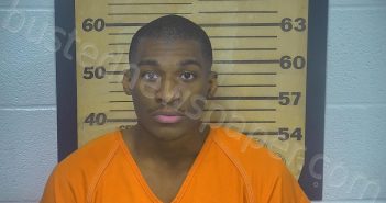 WILSON, GERALD LAMAR, JR | 2023-05-16 15:28:00 Ottawa County, Ohio Booking