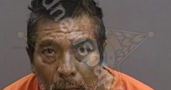 <B>MARES</B>,<B>MARIO</B> #, Hillsborough County, Florida - 2023-05-19 22:36:00