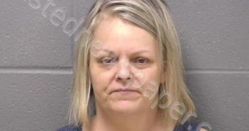 MCNEELY, ERIN L | 2023-05-20 16:44:00 Will County, Illinois Booking