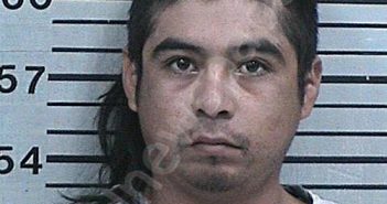 SORIA-RAMIREZ, LUIS MARTIN | 2023-05-20 20:04:00 Hood County, Texas Booking