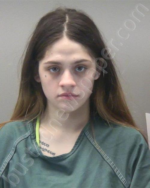 BISCARDI, MEGAN ROSE ELEANOR #, Montgomery County, Ohio - 2023-05-23 12:25:00