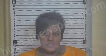 SMITH, LOU ANN | 2023-05-23 01:17:00 Taylor County, Kentucky Booking