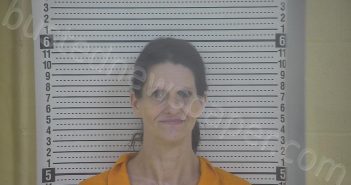 DOTSON, CAROL LYNN | 2023-05-23 21:01:00 Taylor County, Kentucky Booking