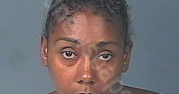 FOWLER, MARJORIE | 2023-05-23 12:59:00 Hernando County, Florida Booking