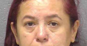 GONZALEZ VERGARA, ANGELICA M | 2023-05-24 12:31:00 Will County, Illinois Booking