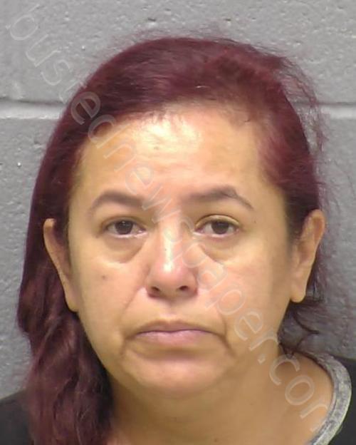 GONZALEZ VERGARA, ANGELICA M #, Will County, Illinois - 2023-05-24 12:31:00