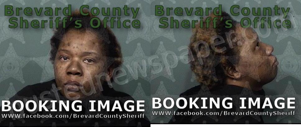 STARKES, TYNEISHA VYQUAN #, Brevard County, Florida - 2023-05-25 02:04:00