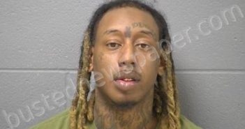 LOGGINS, DOMONIQUE J | 2023-05-25 00:47:00 Will County, Illinois Booking