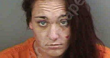 <B>CONWAY</B>,<B>JENNIFER</B> L #, Collier County, Florida - 2023-05-26